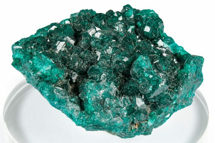 Sparkly Emerald-Green Dioptase Crystal Cluster - Congo #347872